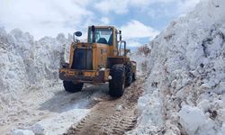 Bingöl'de yoğun karla başa çıkma çalışmaları