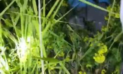 Birecik'te kayalıklarda mahsur kalan 2 çocuk kurtarıldı