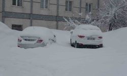 Bitlis'te kar nedeniyle 111 köy yolu kapandı