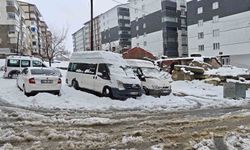 Bitlis'te kar yağışı nedeniyle 82 köy yolu kapandı