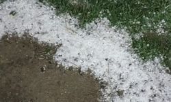 Bolu'da Dolu Yağışı Yeşil Alanları Beyaza Dönüştürdü