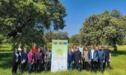 BŞEÜ, İklim Değişikliğiyle Mücadelede Meralar İçin Önemli Bir Adım Attı