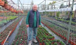 Burhaniye'de emekli bankacı, 500 farklı bitki türü üretimi yapıyor