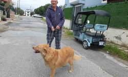 Burhaniye'de emlakçının hayvan sevgisi büyük beğeni topladı