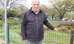 Burhaniye'deki Adramytteion Antik Kenti, Ziyaretçilerin Akınına Uğruyor