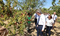 BUÜ, ziraat ve ormancılıkta dünya sıralamasında 401-450 aralığında