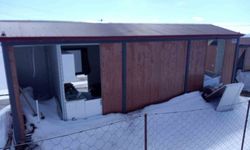 Büyük Ayılar Engelleri Aşıyor