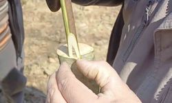 Çanakkale'de 'Aşı Okulu'