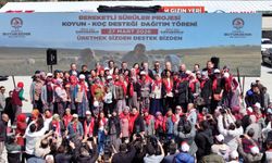 Çavuşoğlu'nun hayvancılık projesi üreticilerden tam destek aldı