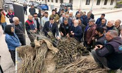 Çemişgezek'te ücretsiz fidan dağıtımı yapıldı