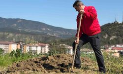 Çetinkaya, bademin karşılığını bahçede çalışarak aldı