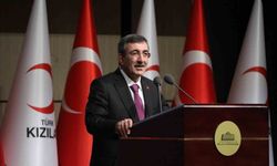 Cumhurbaşkanı Yardımcısı Yılmaz: 'Oyun platformlarına yönelik denetimler artırılacak'