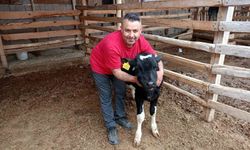 Dayılar Mahallesi'nde Mert için dayanışma seferberliği