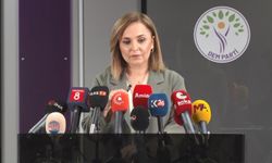 DEM Parti Temsilcisi Doğan: 'Öcalan'ın doğrudan iletişim kurabileceği, özgür bir ortamın sağlanması gerekiyor'
