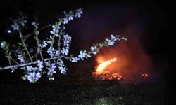 Demirci'de zirai don alarmı