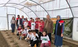 Demirkent TOKİ İlkokulu öğrencileri serada fide dikimi yaptı