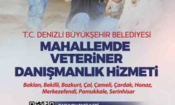 Denizli'de veteriner danışmanlık projesinde yeni dönem başlıyor