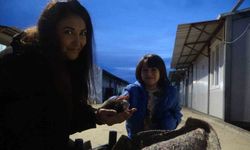 Depremzede aile, su kanalında doğum yapan kediyi ve 3 yavrusunu sahiplendi