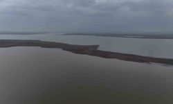 Devegeçidi Baraj Gölü'ndeki kara alan bir ayda suyla doldu