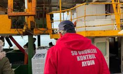 Didim'de Hamsi Kotası Denetimi Gerçekleştirildi