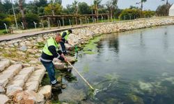 Didim'de Temizlik ve Düzenleme Çalışmaları Hız Kesmeden Devam Ediyor