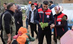 Dinar'da Kekik Yetiştiriciliği Projesi sürüyor