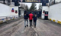 Diyarbakır'da 153 hükümlü yakalandı