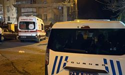 Diyarbakır'da eşini öldürüp kızını yaralayan zanlı gözaltına alındı