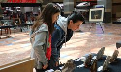 Diyarbakır'da 'İl İl Türkiye' Sergisi sanatseverlerle buluştu