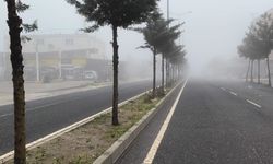 Diyarbakır'da yoğun sis etkisi