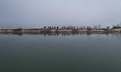 Doğa Tutkunları Mysia Yolları'nda Buluştu