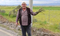 Doğada topladığı ürünlerle ihtiyaç sahiplerine destek oluyor