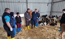 Doğum Sonrası Hataları Önlemek İçin Üreticilere Kesin Rehberlik