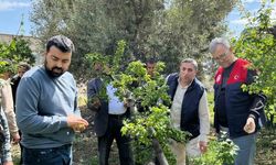 Dolu yağışı sonrası hasar tespit çalışmaları başladı