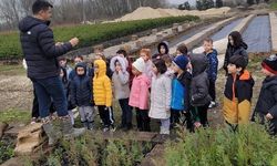 Düzce'de Minik Ellerle Büyük Ormanlar Kuruluyor