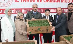 Düzce'de sebze üreticilerine fide desteği sağlandı