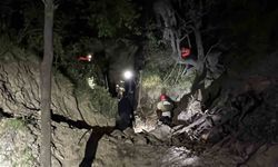 Düzce'de uçurumdan düşen 3 kişi kurtarıldı