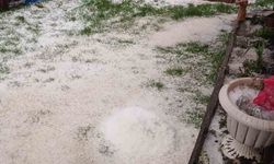Düzce'nin Yüksek Bölgelerinde Dolu Yağışı Etkili Oldu