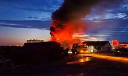 Edirne'de kereste tesisinde alevler yükseldi