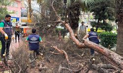 Efeler Belediyesi park güvenliğini artırıyor