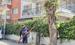 Efeler Belediyesi Tarihi Mahallelerde Çevresel Düzenlemeler Gerçekleştirdi