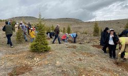 Elazığ'da Çocuklar İçin Fidan Dikim Etkinliği Düzenlendi