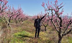 Elazığ'da entegre mücadele ile meyve verimi artırılıyor