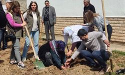 Elazığ'da fidan dikim organizasyonu