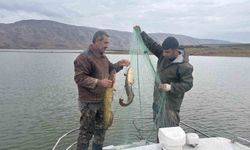 Elazığ'da Su Ürünleri Araştırmaları Devam Ediyor