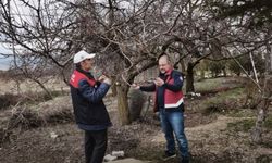 Elazığ'da zirai don alarmı