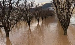 Elmalı'da Yoğun Yağışlar Dereleri Taşırdı, Tarım Arazileri Sular Altında Kaldı