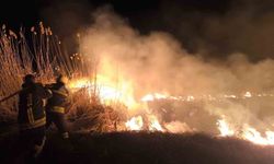 Erzincan'da anız yangını paniğe yol açtı