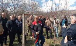 Erzincan'da Çiftçilere Meyve Ağaçları İçin Budama Eğitimi Verildi