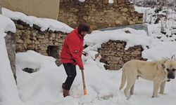 Erzincan'da soğuk hava, yüksek kesimlere kar getirdi